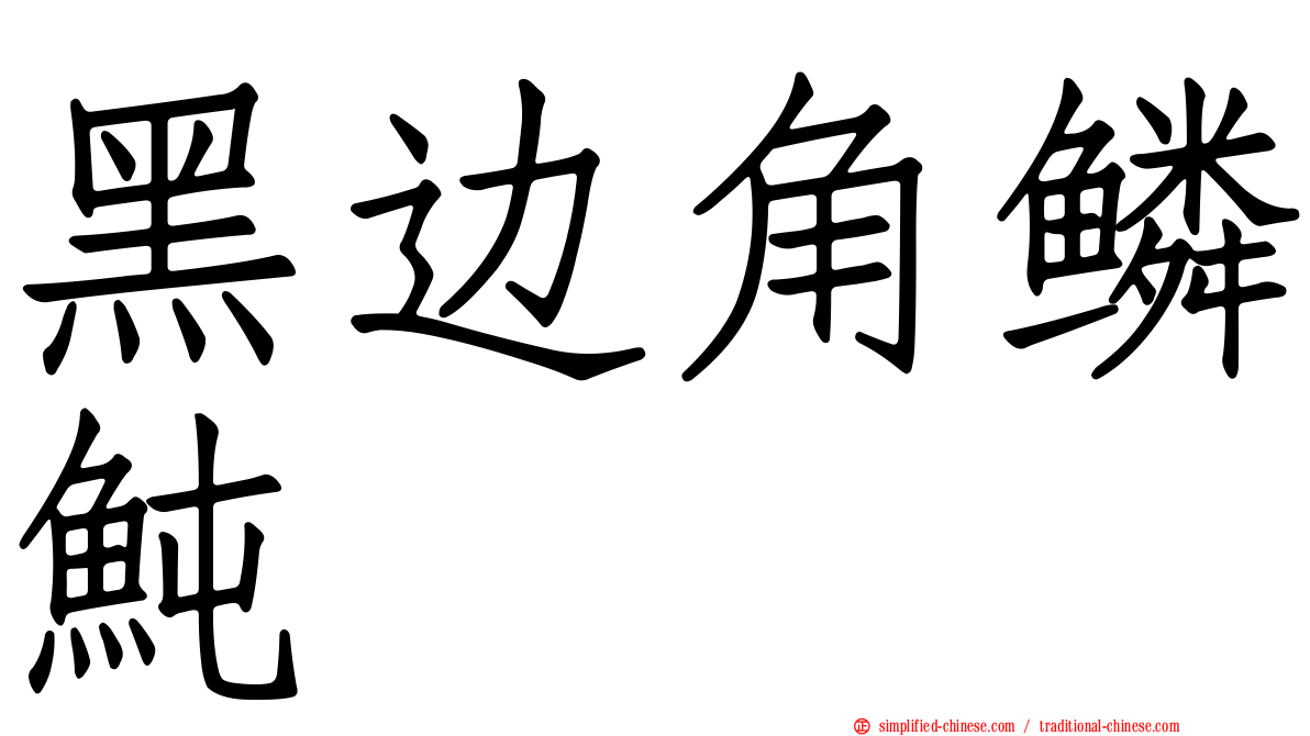 黑边角鳞鲀