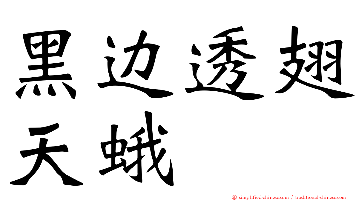 黑边透翅天蛾