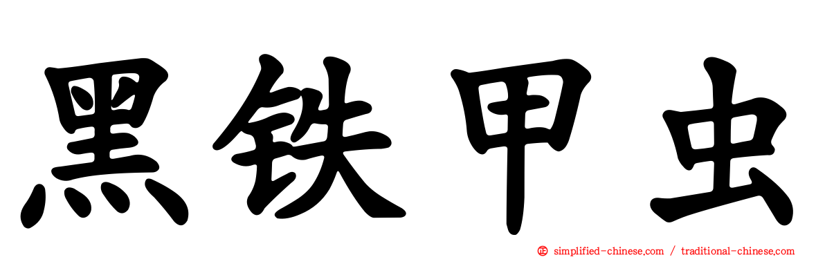 黑铁甲虫