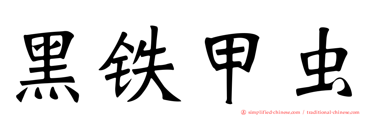 黑铁甲虫