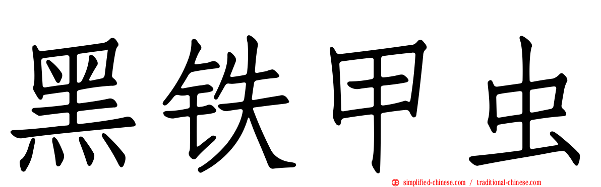 黑铁甲虫