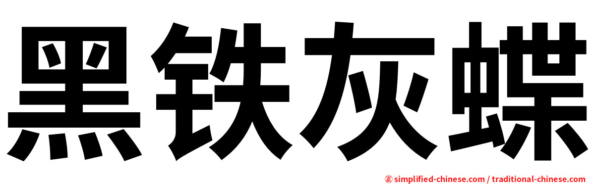 黑铁灰蝶