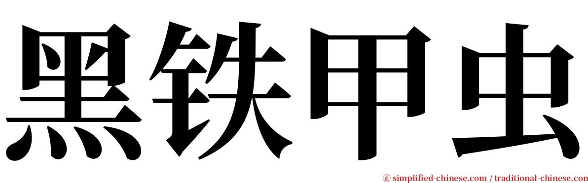 黑铁甲虫 serif font