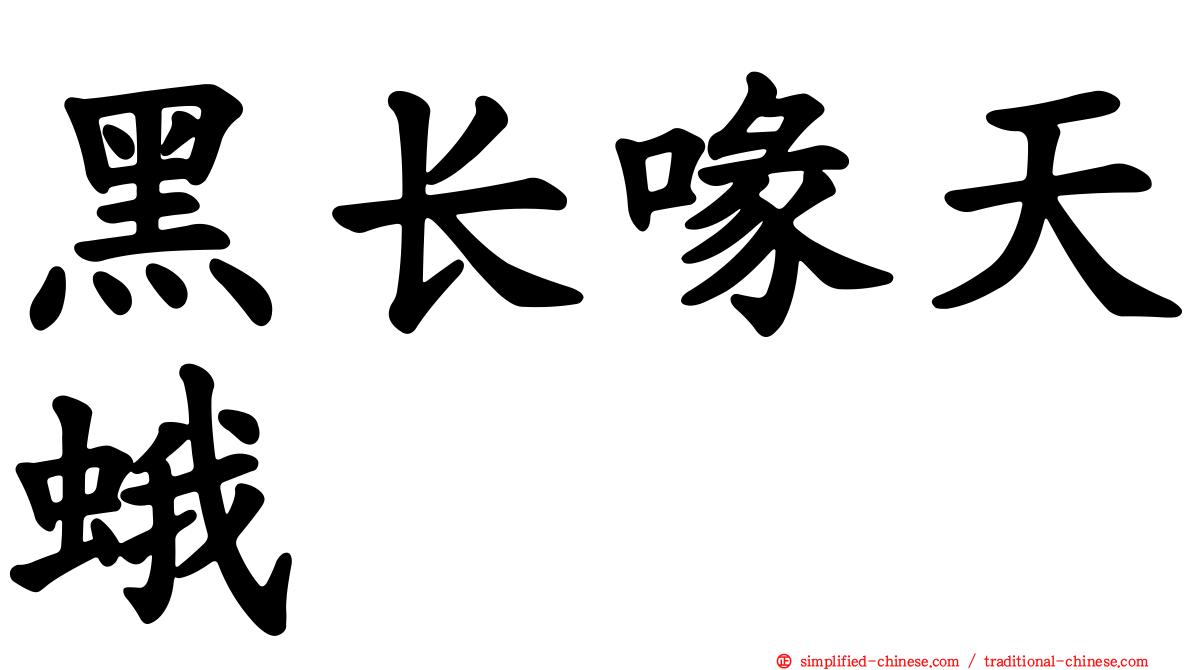 黑长喙天蛾