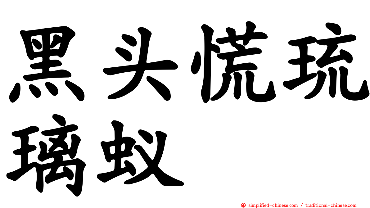 黑头慌琉璃蚁