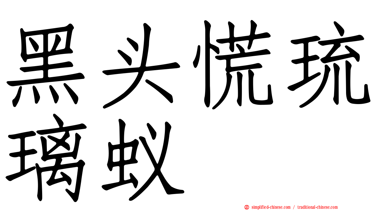 黑头慌琉璃蚁