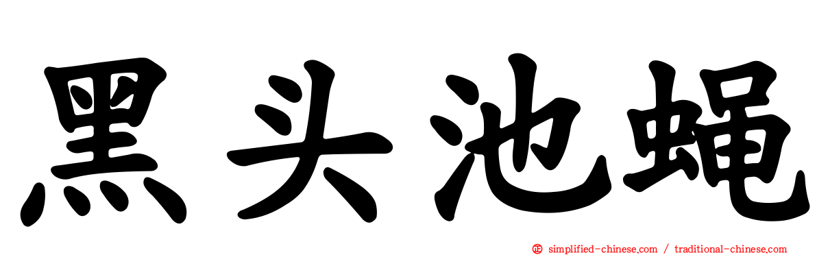 黑头池蝇