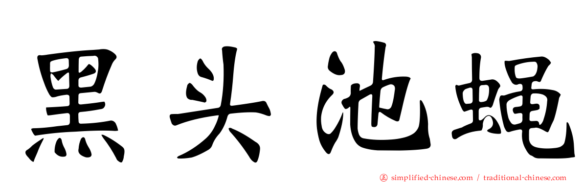 黑头池蝇