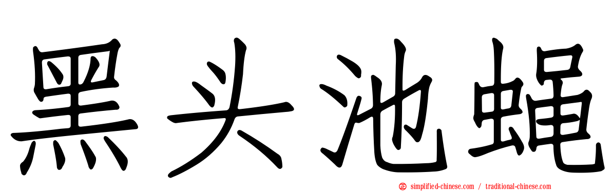 黑头池蝇
