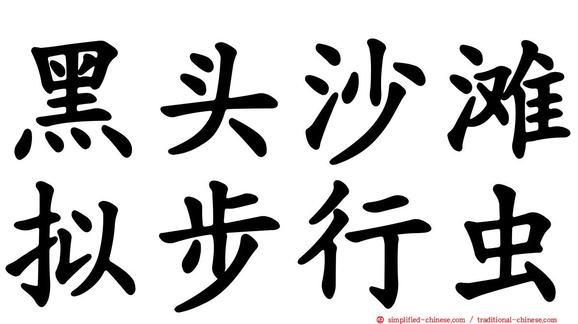 黑头沙滩拟步行虫