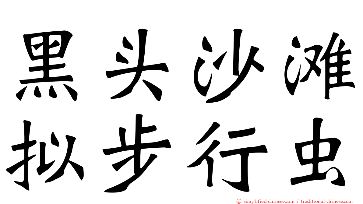 黑头沙滩拟步行虫