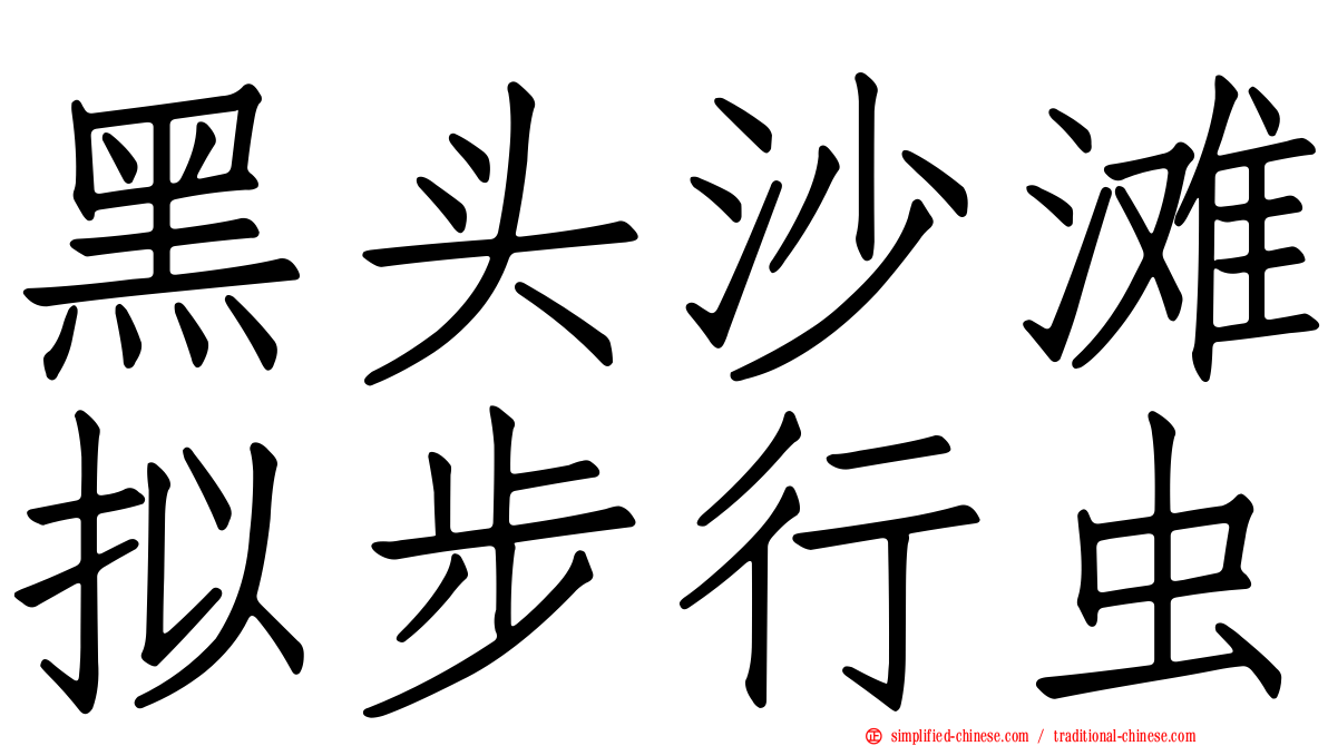 黑头沙滩拟步行虫