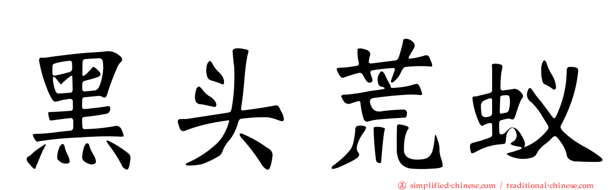 黑头荒蚁