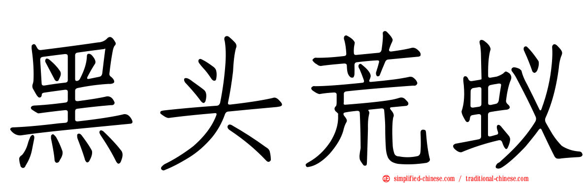 黑头荒蚁