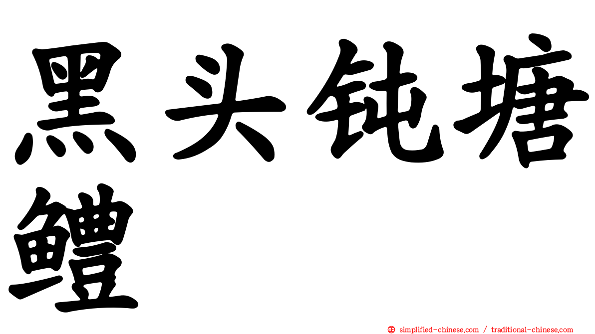 黑头钝塘鳢