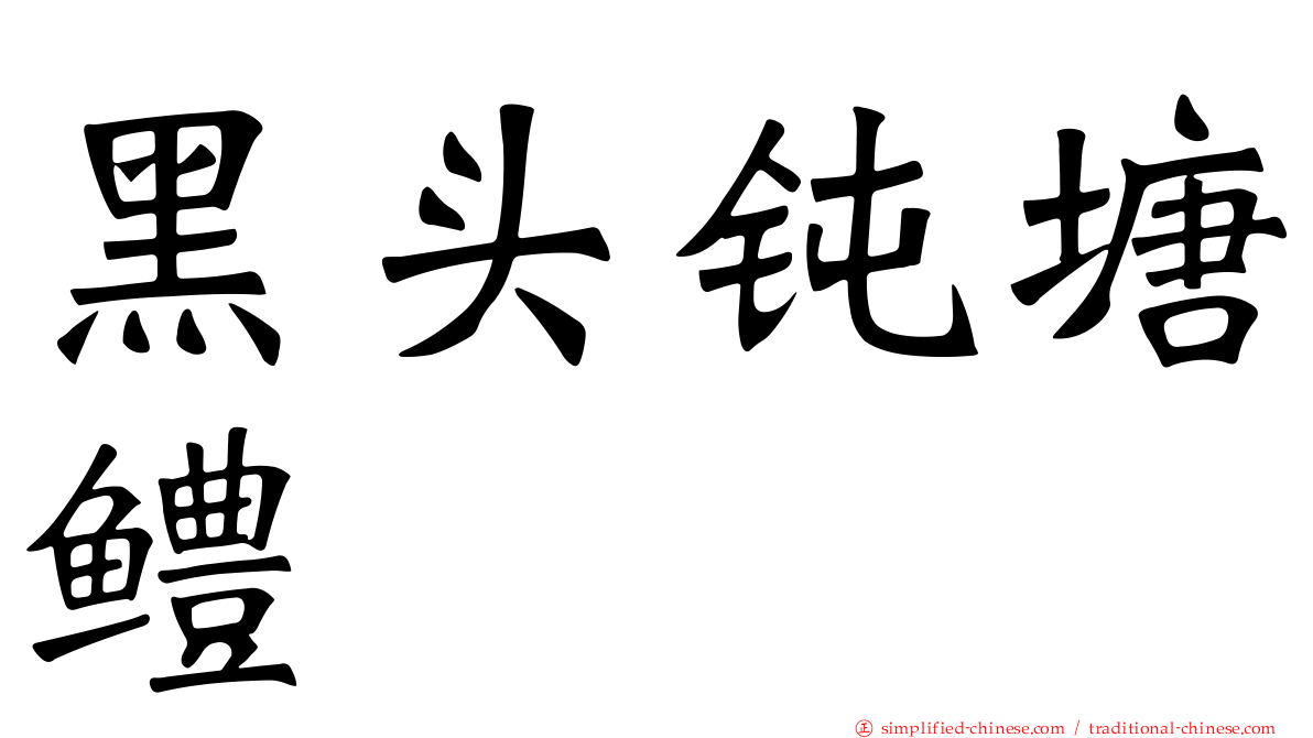 黑头钝塘鳢