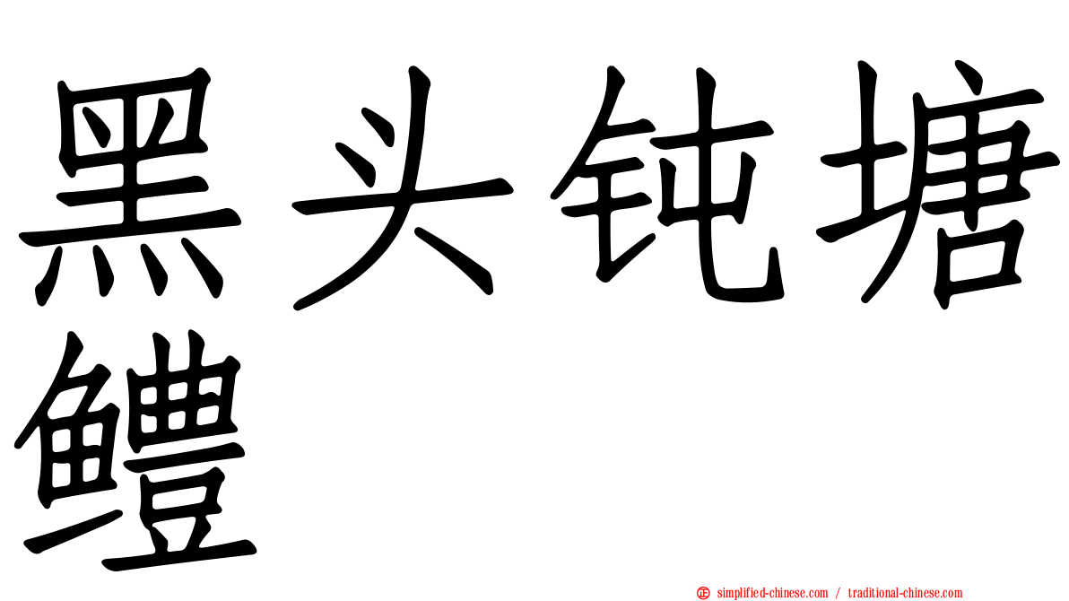 黑头钝塘鳢