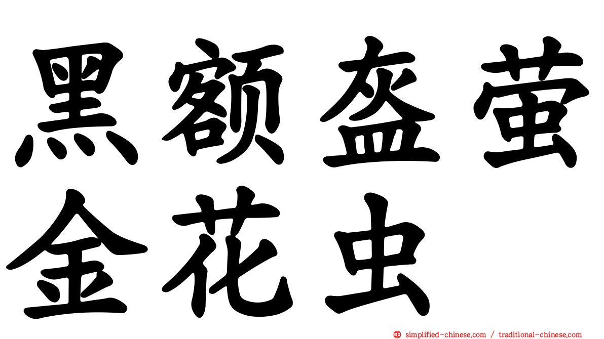 黑额盔萤金花虫