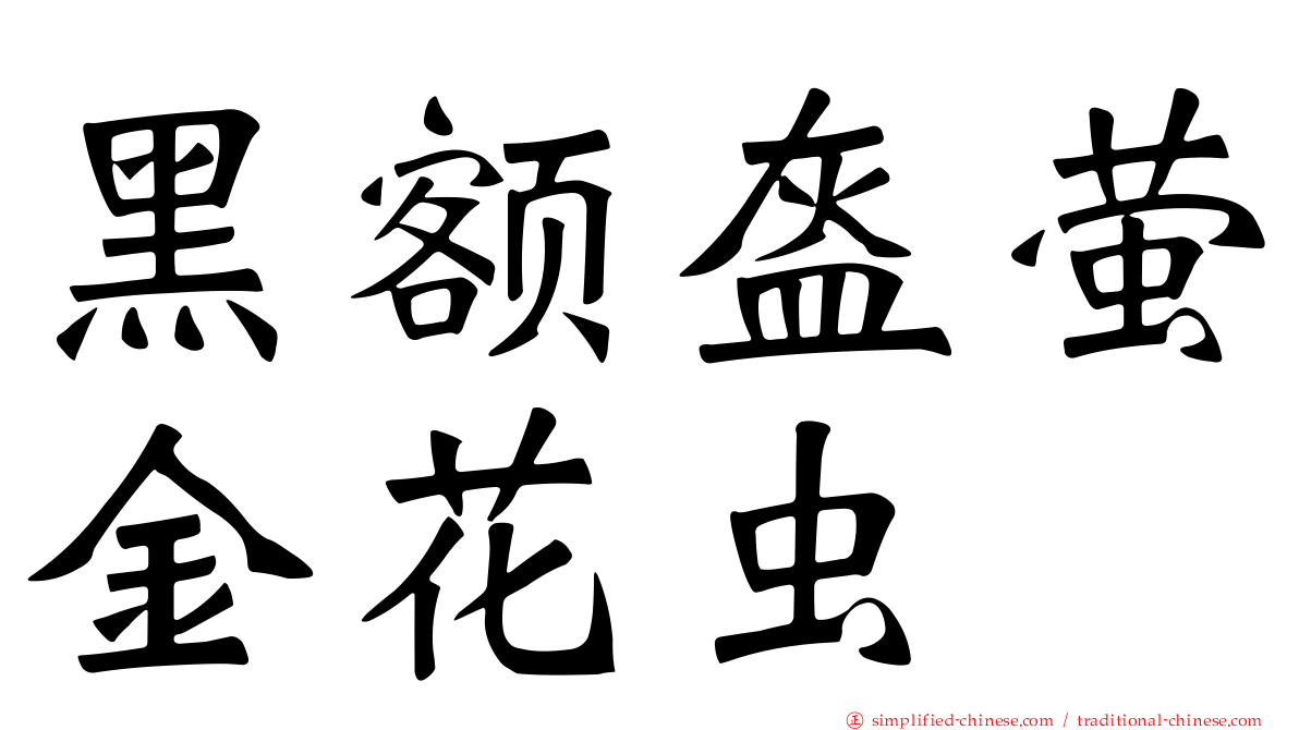 黑额盔萤金花虫