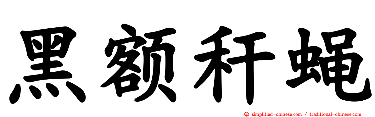 黑额秆蝇