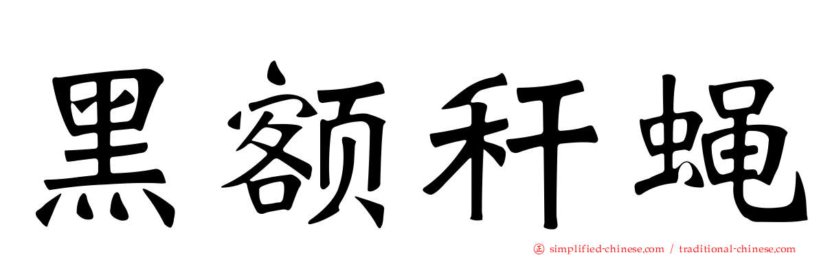 黑额秆蝇