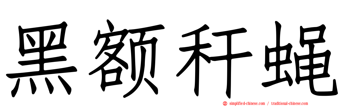 黑额秆蝇