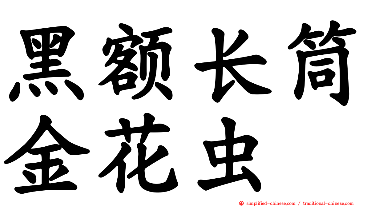 黑额长筒金花虫
