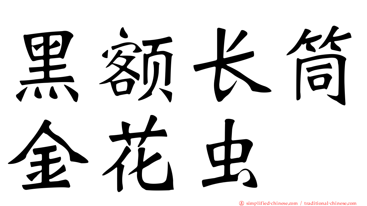 黑额长筒金花虫