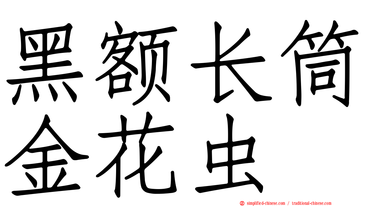 黑额长筒金花虫
