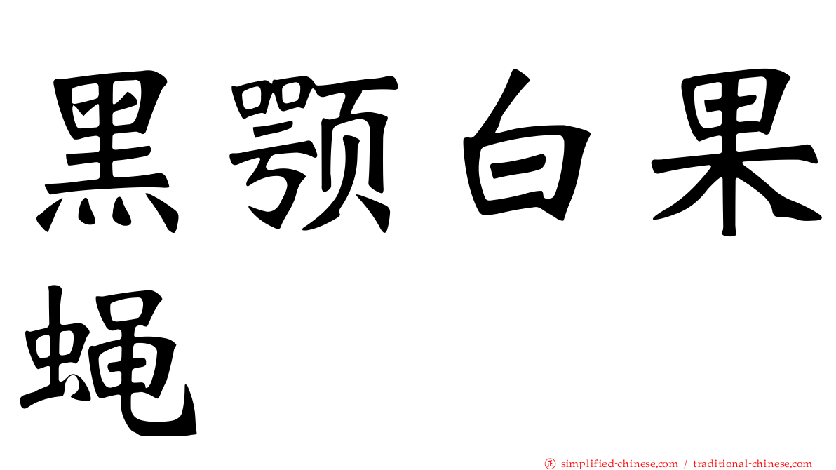 黑颚白果蝇