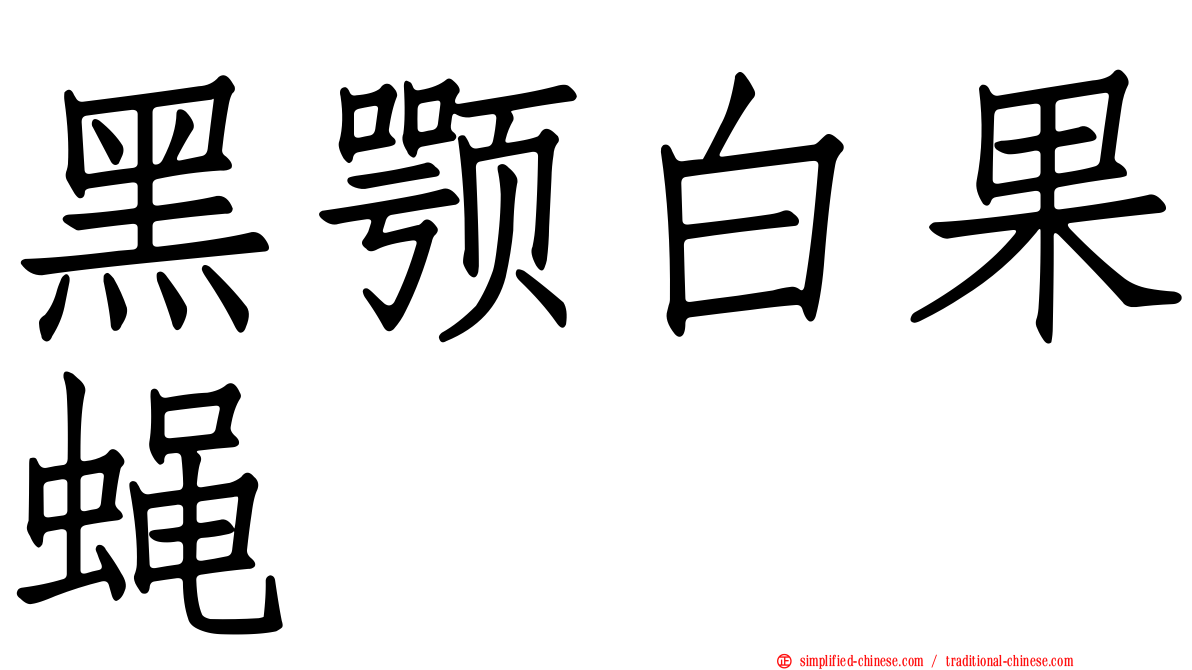 黑颚白果蝇