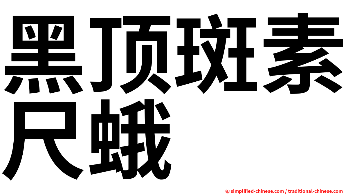 黑顶斑素尺蛾