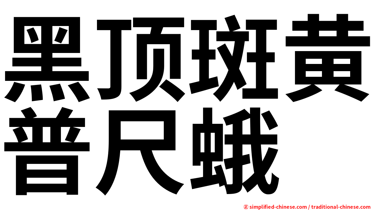 黑顶斑黄普尺蛾
