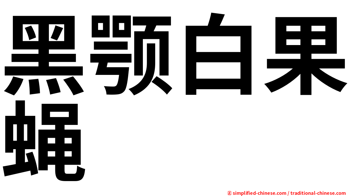 黑颚白果蝇