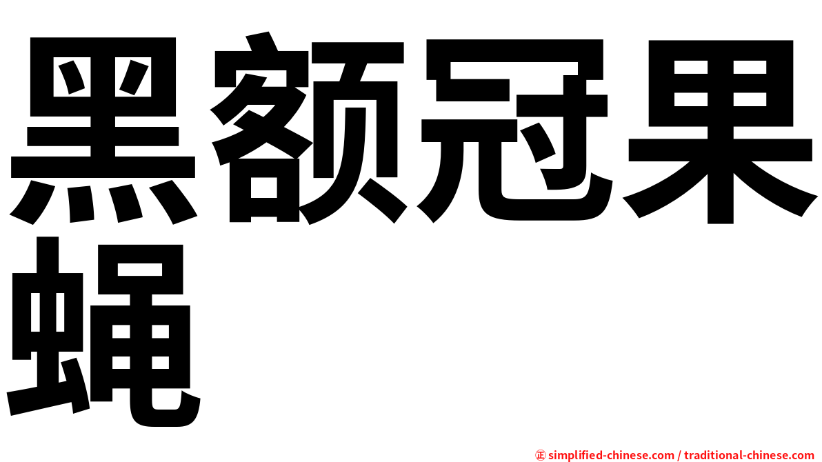 黑额冠果蝇