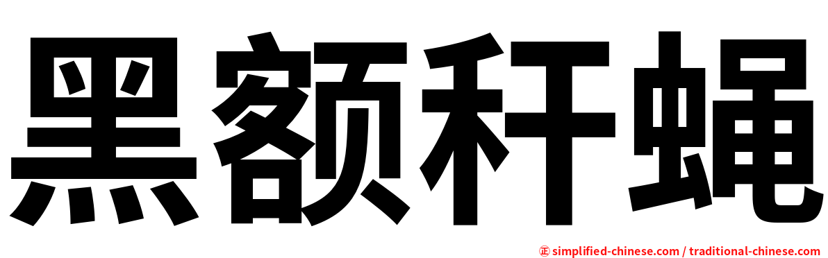 黑额秆蝇