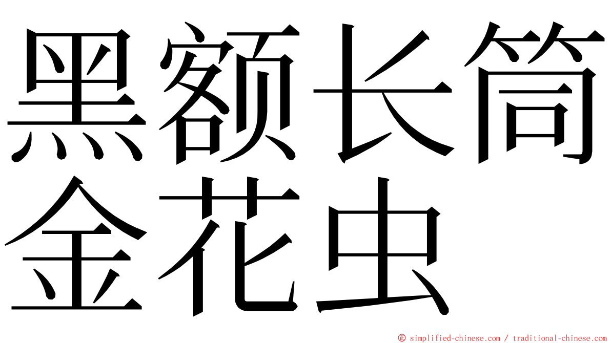 黑额长筒金花虫 ming font