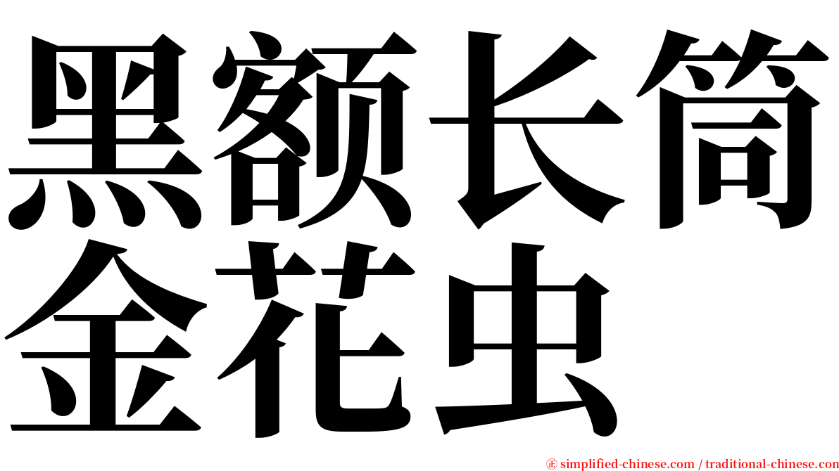 黑额长筒金花虫 serif font
