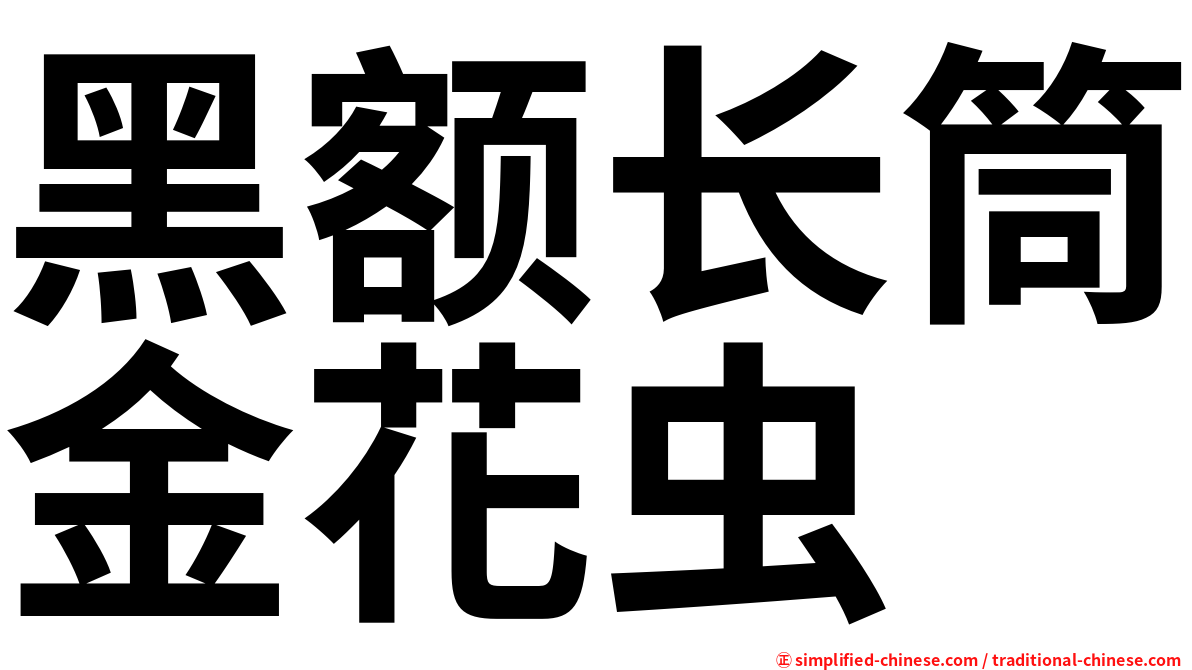 黑额长筒金花虫