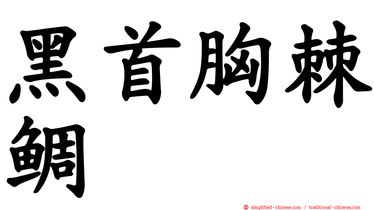 黑首胸棘鲷