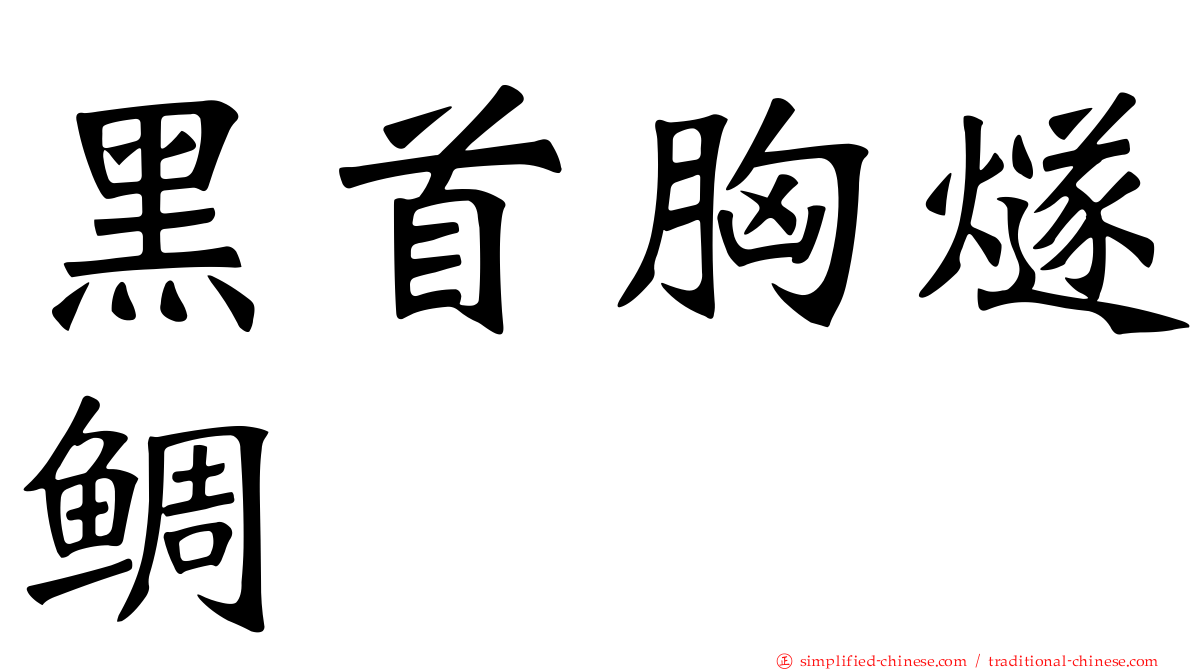 黑首胸燧鲷