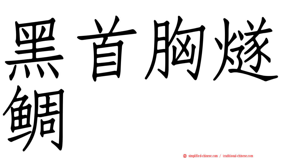 黑首胸燧鲷
