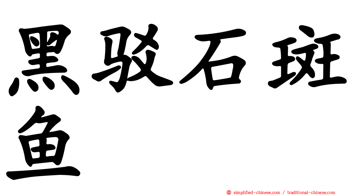 黑驳石斑鱼