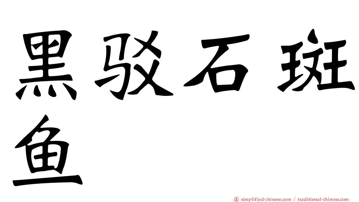 黑驳石斑鱼