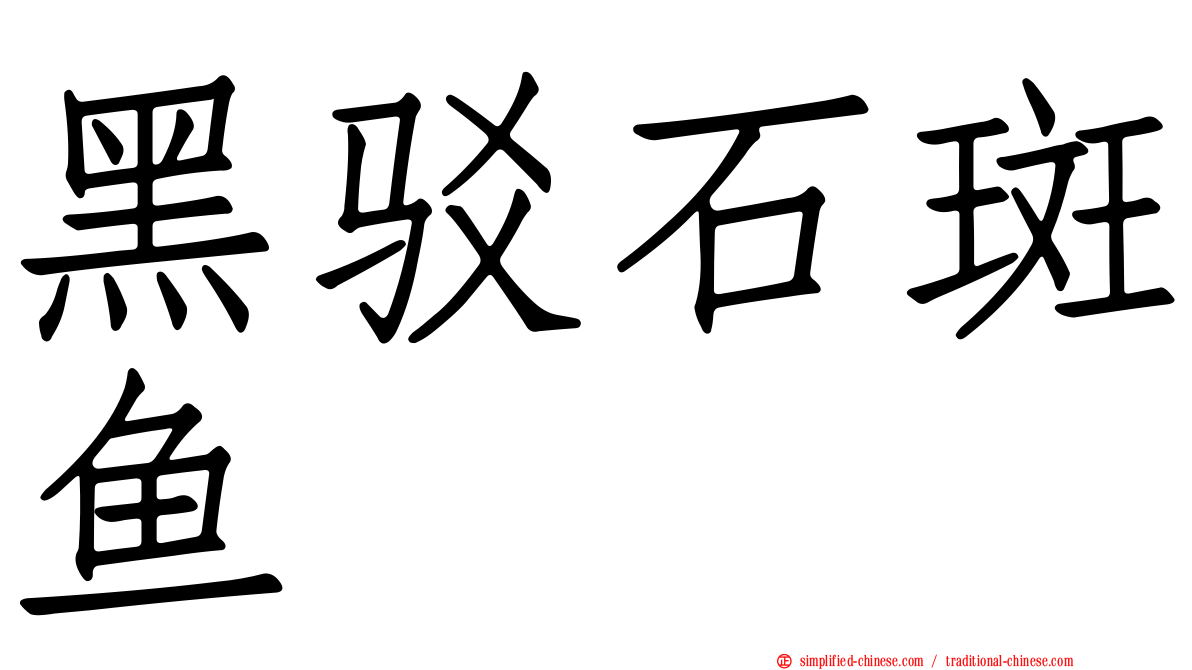 黑驳石斑鱼
