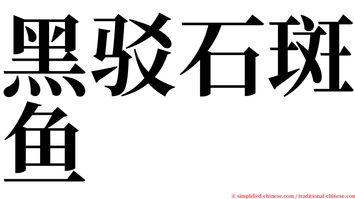 黑驳石斑鱼 serif font