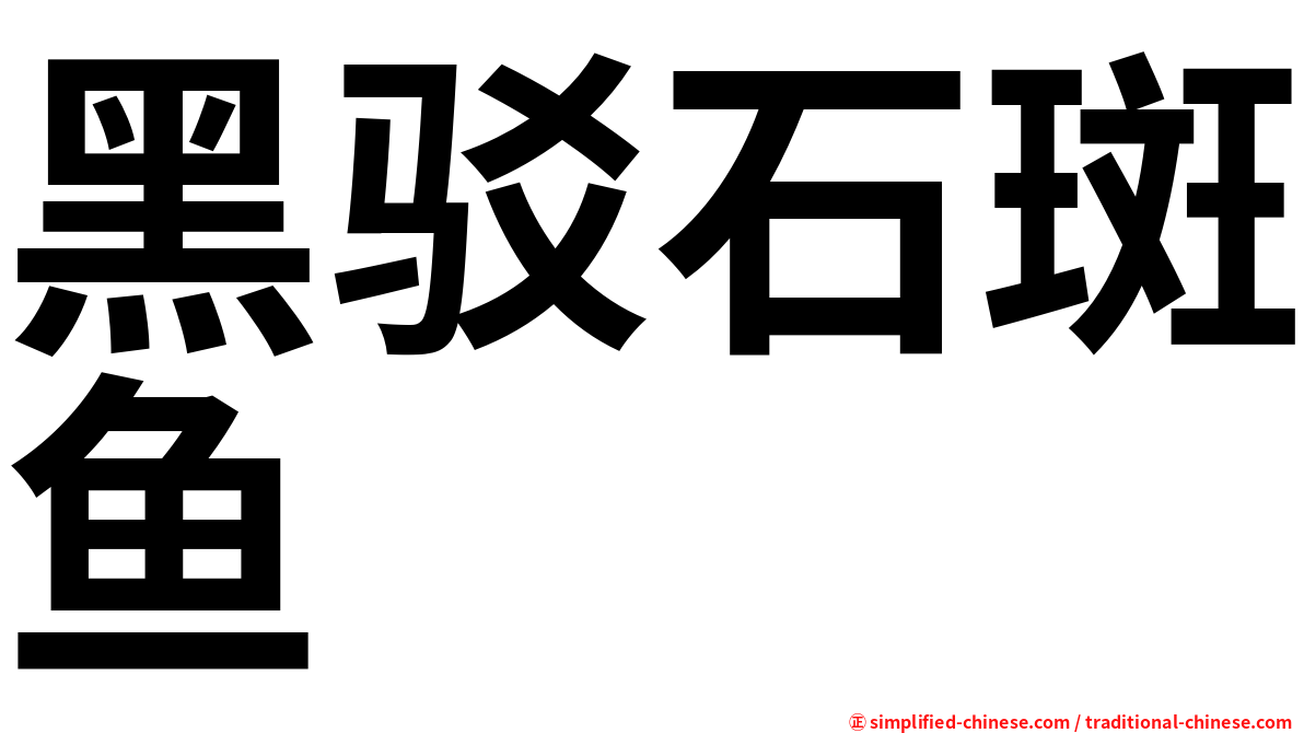 黑驳石斑鱼