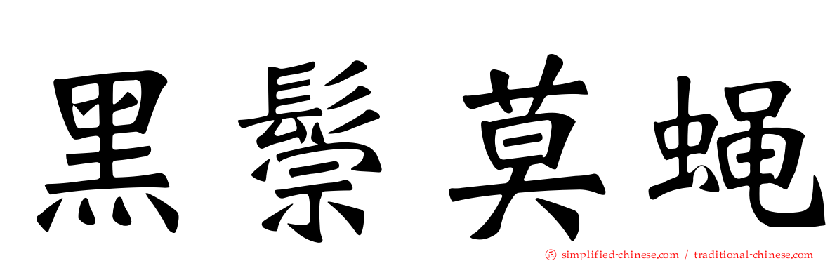 黑鬃莫蝇