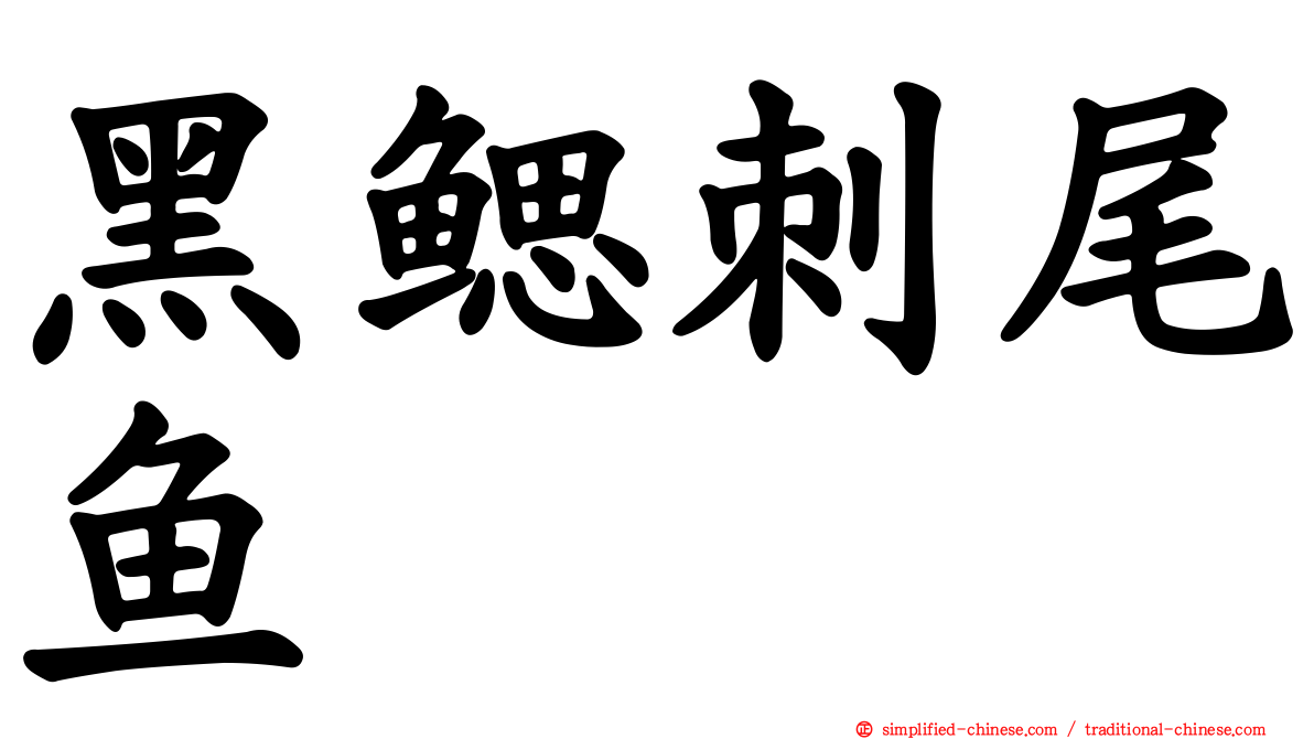 黑鳃刺尾鱼