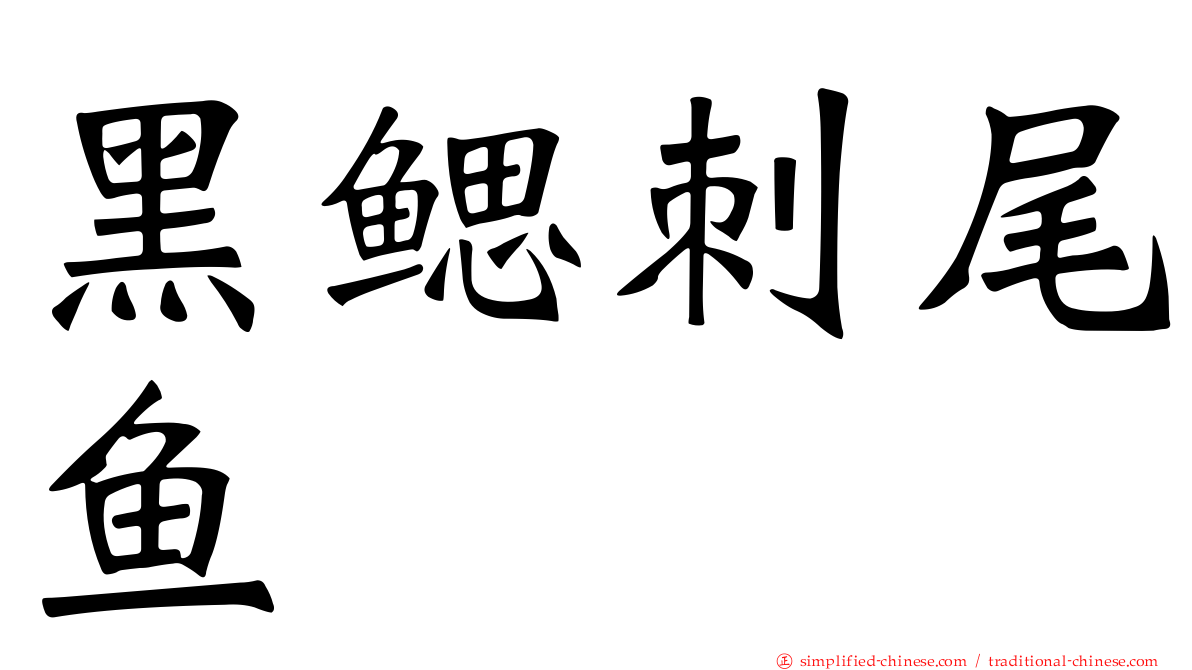 黑鳃刺尾鱼